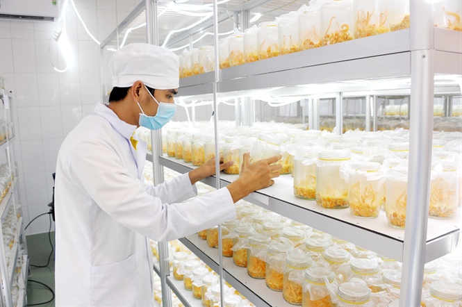 Nhị Nguyên Đường - Thương hiệu phân phối sản phẩm chăm sóc sức khỏe hữu cơ cao cấp tại Việt Nam