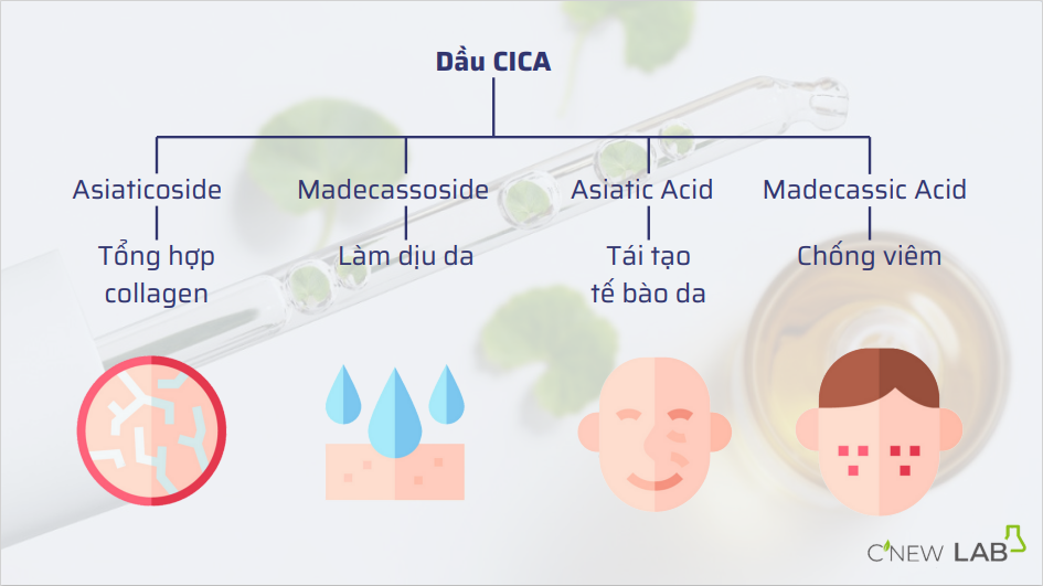 C’New Lab New CK - Sáp rạn da dạng Balm dành cho bà bầu