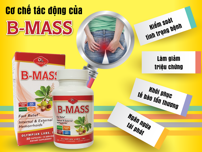 Cơ chế tác dụng của B-Mass