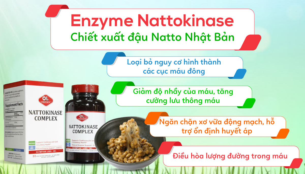 Thành phần của Natokinase